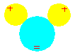 water molecule polarity