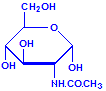 N-acetyl-glucosamine chemical structure