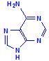 Adenine chemical structure