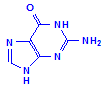 Guanine chemical structure