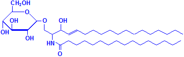 Cerebroside chemical structure