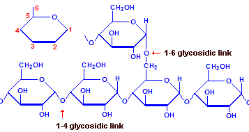 Glycogen chemical structure