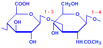 Hyaluranon chemical structure