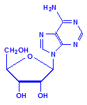Nucleoside adenosine chemical structure