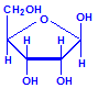 Ribose explicit chemical structure