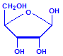 Ribose chemical structure