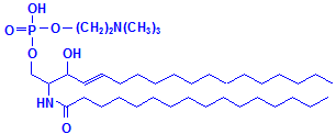 Sphingomyelin chemical structure