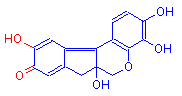 Adjacent hydroxyl and carbonyl groups of hematein