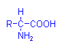 Amino acid chemical structure