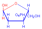 Deoxyribose hemiacetal chemical structure